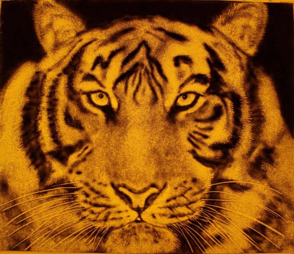 Sand drawing of a tiger